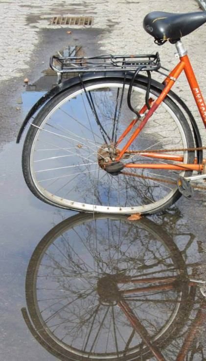 Прикольные картинки для хорошего настроения (51 шт) Прикольные картинки для хорошего настроения (51 шт)