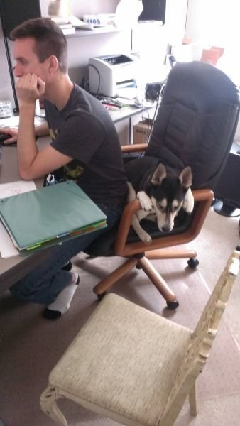 Прикольные картинки для хорошего настроения (51 шт) Прикольные картинки для хорошего настроения (51 шт)