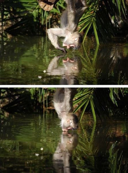 Прикольные картинки перед выходными (39 шт) Прикольные картинки перед выходными (39 шт)