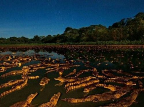 Жуткие фотографии пощекотать нервы (22 фото)