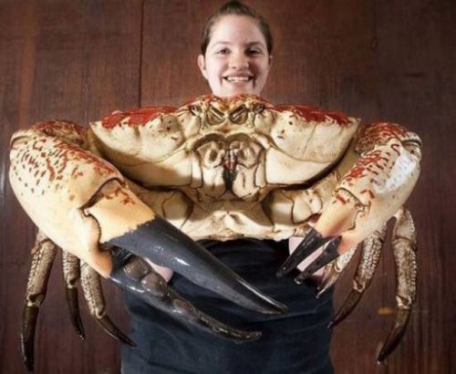 Жуткие фотографии пощекотать нервы (22 фото)