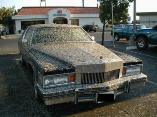 Жуткие фотографии пощекотать нервы (22 фото)