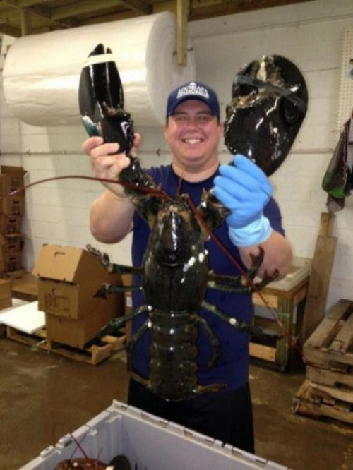 Жуткие фотографии пощекотать нервы (22 фото)