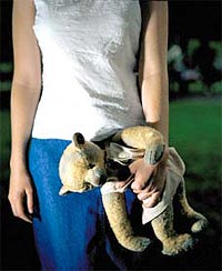 Удары судьбы делают нас легковерными