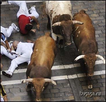 Испанский фестиваль "на рогах".