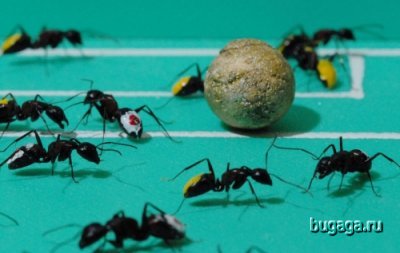 Японская забава