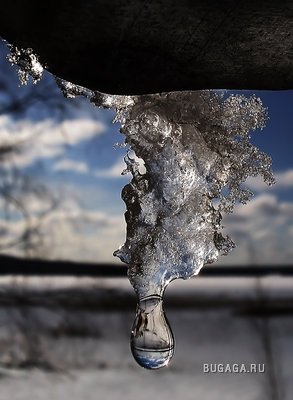 Весна в двери стучит !