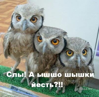 Приколы (осторожно мат) part 2