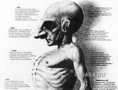 Какие мы будем через 2000 лет?