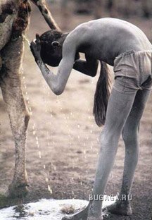 Коротко о странах мира