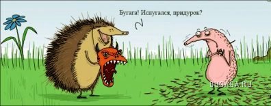 Подборочка (2007-12-12)