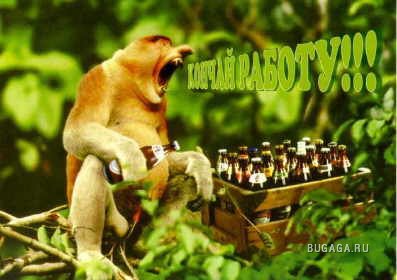 Подборка приколов (2008-01-10)