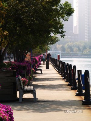 Город живёт!