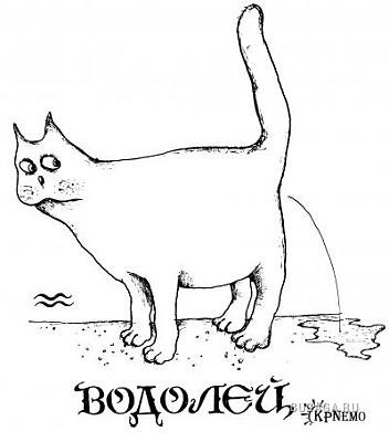Кошачий гороскоп!