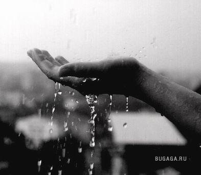 Дождик Дождик