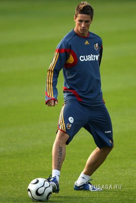 Фернандо Торрес