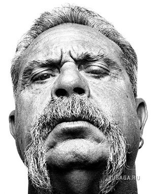 'Портреты 'Портреты