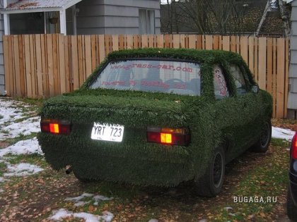 Авто покрытые травой