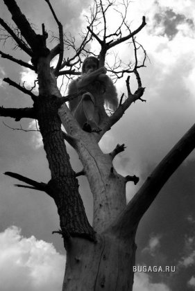 Одиночество. Безысходность. Пустота.