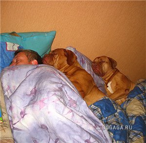 Где упал, там и уснул