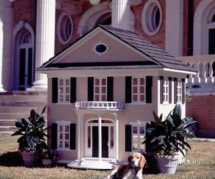 Супер-будки для собак