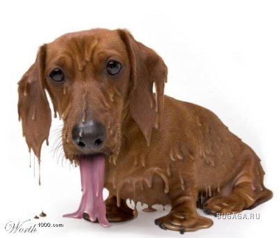 Тающие картинки