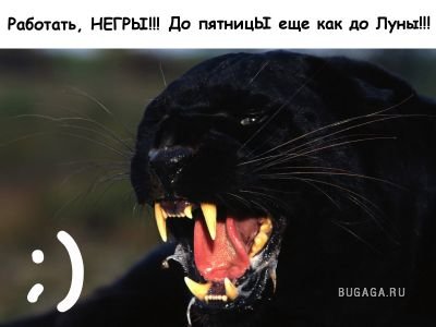 Подборка (2008-10-01)