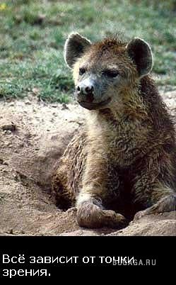 Жизнь со смыслом