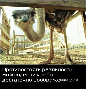 Жизнь со смыслом