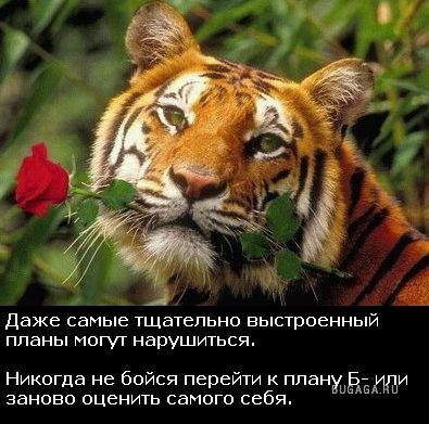 Жизнь со смыслом