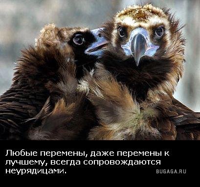 Жизнь со смыслом