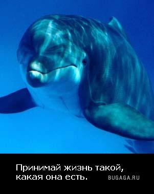 Жизнь со смыслом