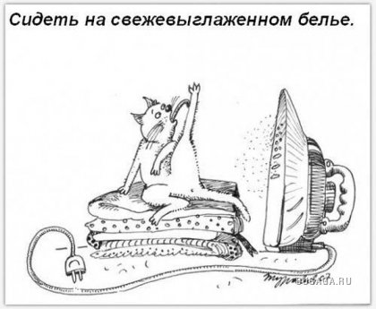 ����������� ����� � ����