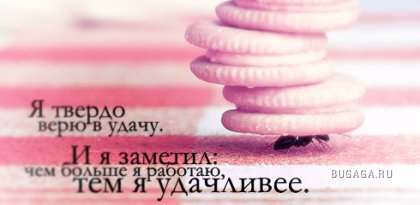 ���������� ������ �� ������ ����