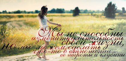 ���������� ������ �� ������ ����