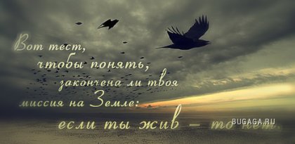 ���������� ������ �� ������ ����