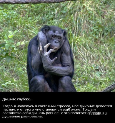 Жизнь со смыслом