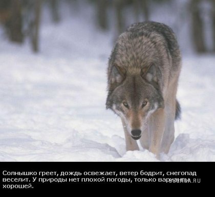 Жизнь со смыслом