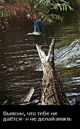 Жизнь со смыслом