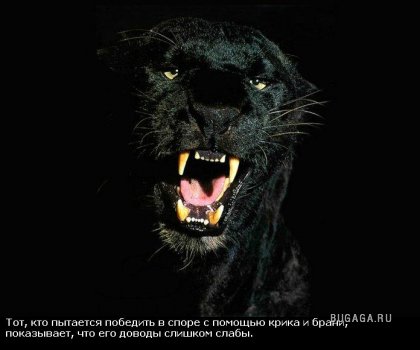 Жизнь со смыслом