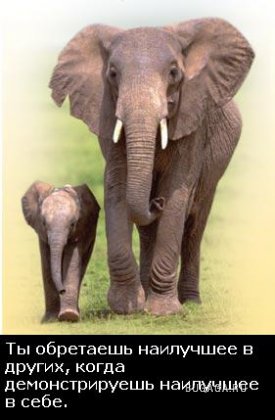 Жизнь со смыслом