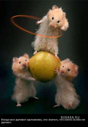 Жизнь со смыслом