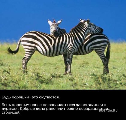 Жизнь со смыслом