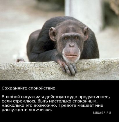 Жизнь со смыслом