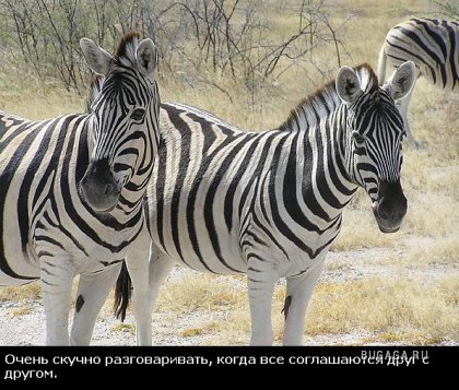 Жизнь со смыслом