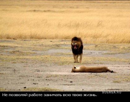 Жизнь со смыслом