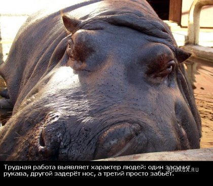 Жизнь со смыслом