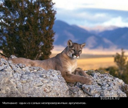 Жизнь со смыслом