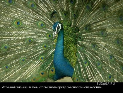 Жизнь со смыслом