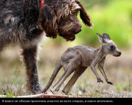 Жизнь со смыслом